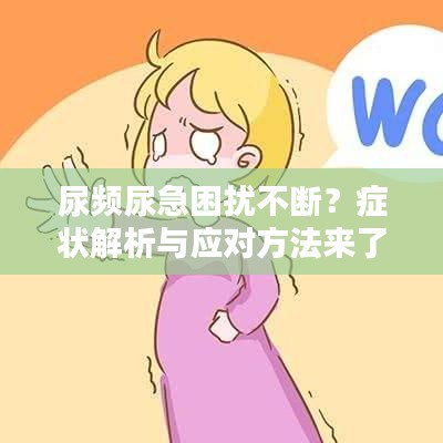尿頻尿急困擾不斷?癥狀解析與應對方法來了!