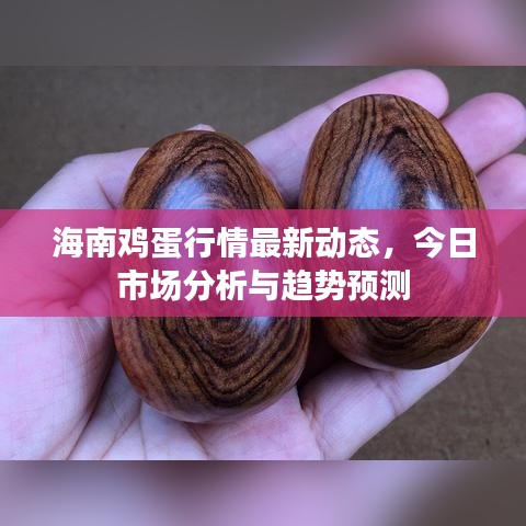 海南雞蛋行情最新動態(tài),今日市場分析與趨勢預測