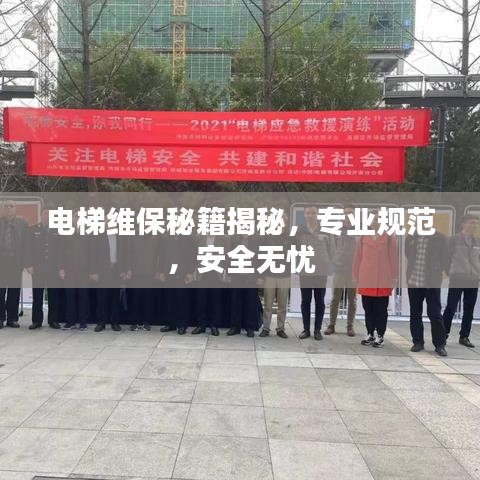 電梯維保秘籍揭秘,專業規范,安全無憂