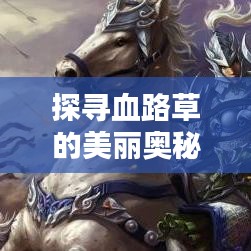 探尋血路草的美麗奧秘,百度圖片帶你領略血路草的風采