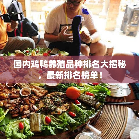 國內雞鴨養殖品種排名大揭秘,最新排名榜單!