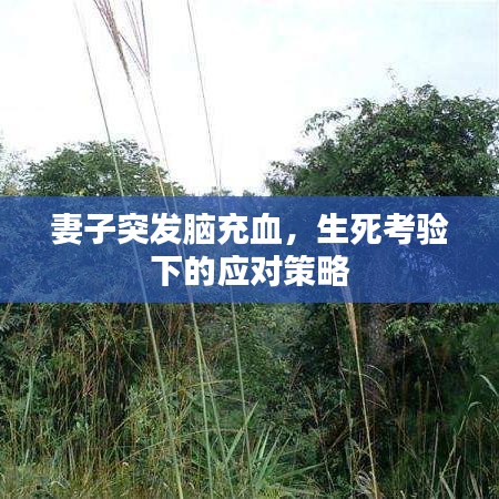 妻子突發(fā)腦充血,生死考驗(yàn)下的應(yīng)對(duì)策略