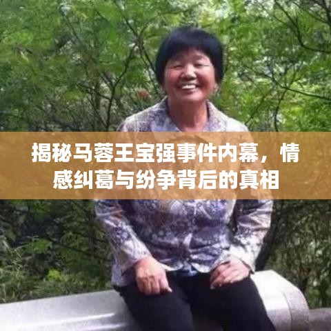 揭秘馬蓉王寶強(qiáng)事件內(nèi)幕,情感糾葛與紛爭(zhēng)背后的真相