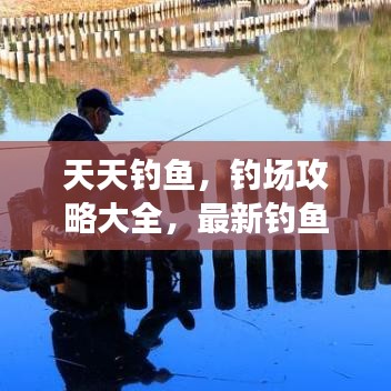 天天釣魚,釣場攻略大全,最新釣魚指南