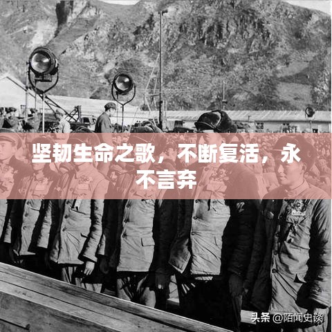 堅(jiān)韌生命之歌，不斷復(fù)活，永不言棄