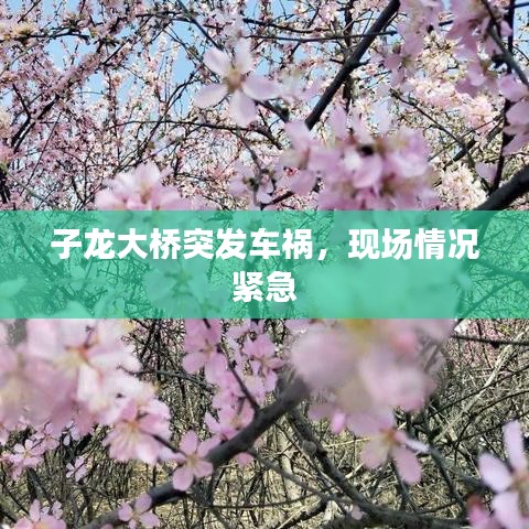 子龍大橋突發車禍,現場情況緊急