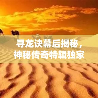 尋龍訣幕后揭秘,神秘傳奇特輯獨家呈現(xiàn)