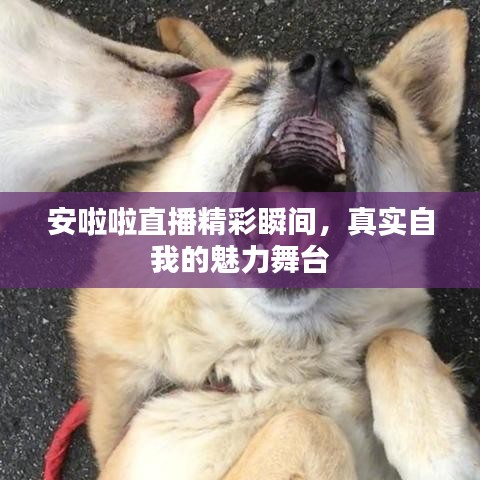 安啦啦直播精彩瞬間,真實(shí)自我的魅力舞臺(tái)