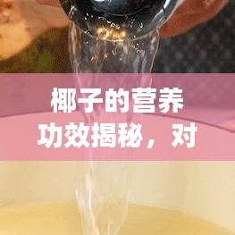 椰子的營養功效揭秘,對身體有哪些好處?百度來解答!