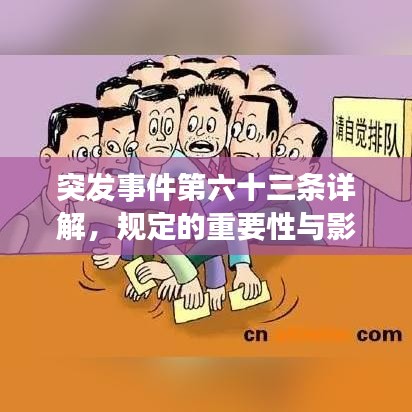 突發(fā)事件第六十三條詳解,規(guī)定的重要性與影響