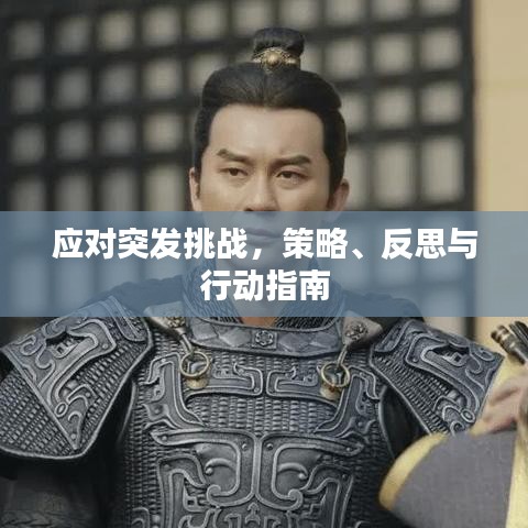 應(yīng)對突發(fā)挑戰(zhàn),策略、反思與行動指南