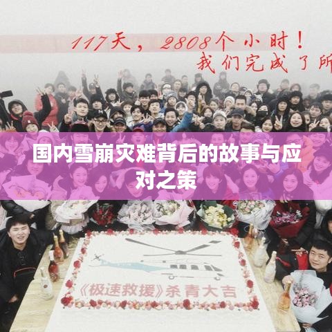 國內(nèi)雪崩災(zāi)難背后的故事與應(yīng)對之策