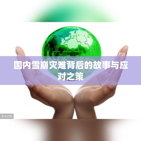 國內(nèi)雪崩災(zāi)難背后的故事與應(yīng)對之策