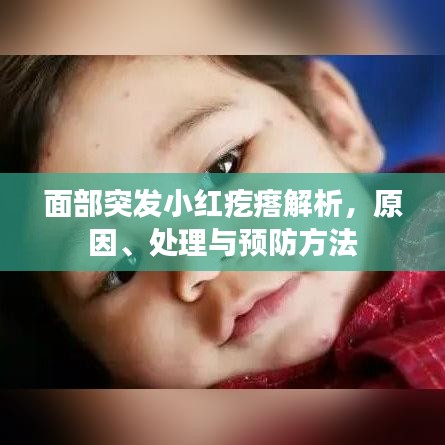 面部突發(fā)小紅疙瘩解析,原因、處理與預防方法