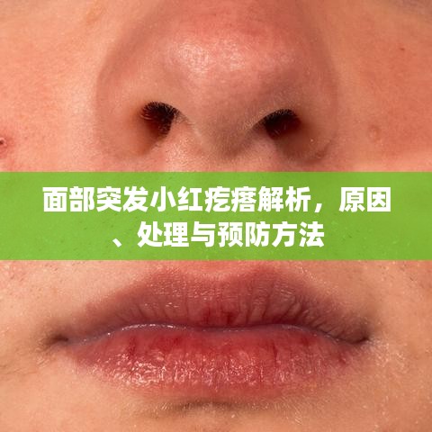 面部突發(fā)小紅疙瘩解析,原因、處理與預防方法
