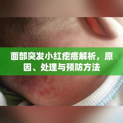 面部突發(fā)小紅疙瘩解析,原因、處理與預防方法