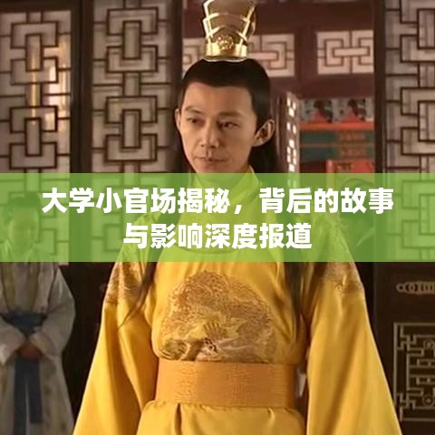 大學小官場揭秘,背后的故事與影響深度報道
