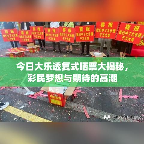 今日大樂透復式曬票大揭秘,彩民夢想與期待的高潮