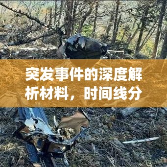 突發事件的深度解析材料,時間線分析揭秘事件真相