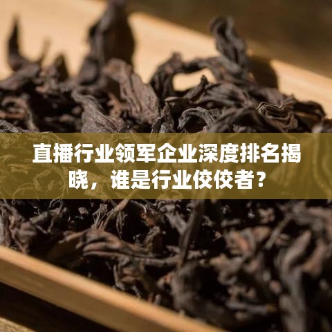 直播行業(yè)領(lǐng)軍企業(yè)深度排名揭曉,誰(shuí)是行業(yè)佼佼者?