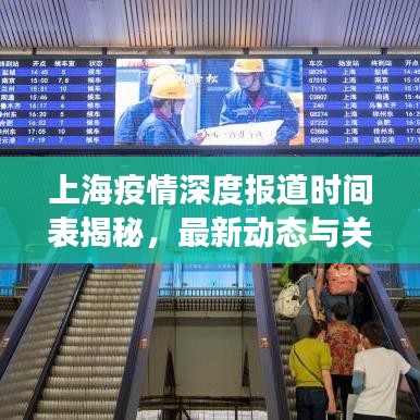 上海疫情深度報道時間表揭秘,最新動態與關鍵進展一網打盡