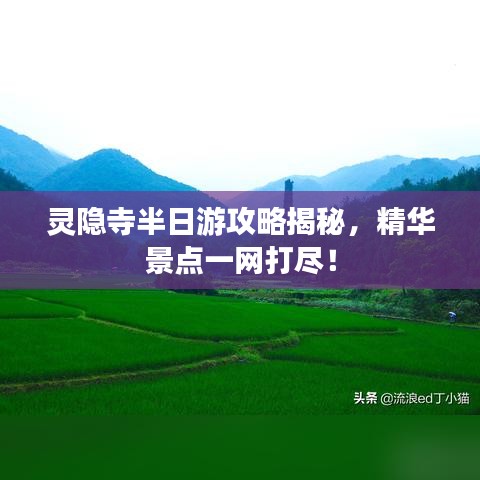 靈隱寺半日游攻略揭秘,精華景點一網打盡!