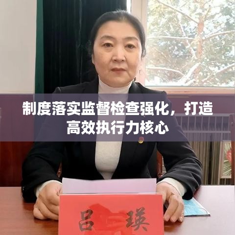 制度落實監督檢查強化,打造高效執行力核心