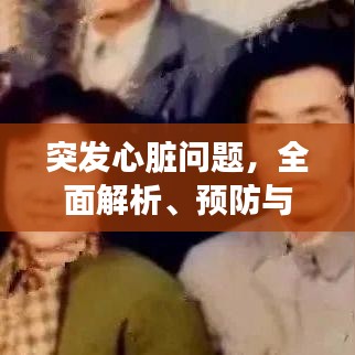 突發(fā)心臟問題,全面解析、預(yù)防與應(yīng)急處理方案