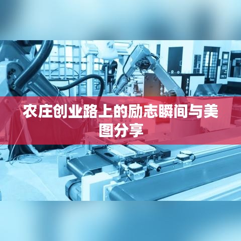 農(nóng)莊創(chuàng)業(yè)路上的勵志瞬間與美圖分享