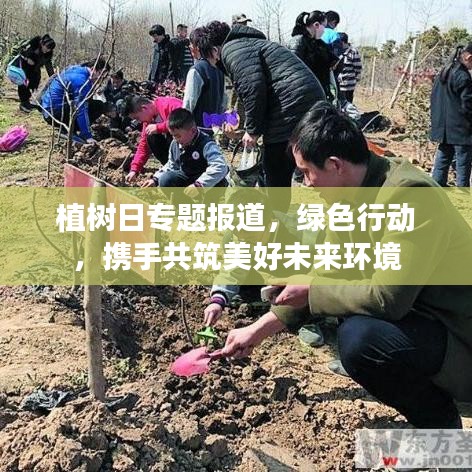 植樹日專題報道,綠色行動,攜手共筑美好未來環(huán)境