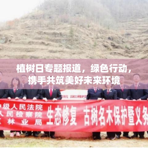 植樹日專題報道,綠色行動,攜手共筑美好未來環(huán)境
