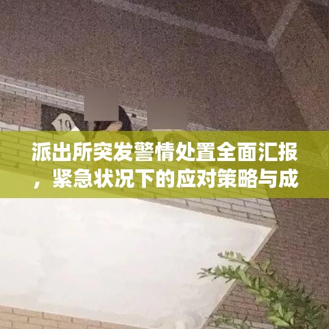派出所突發警情處置全面匯報,緊急狀況下的應對策略與成效分析