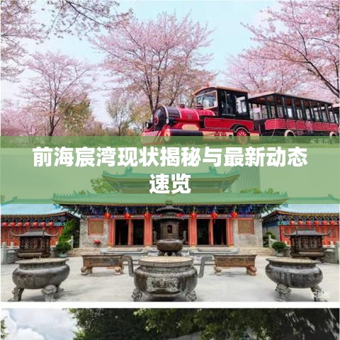 前海宸灣現狀揭秘與最新動態速覽