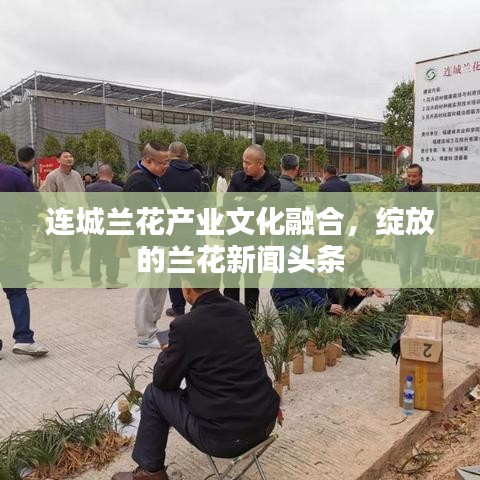連城蘭花產(chǎn)業(yè)文化融合,綻放的蘭花新聞頭條