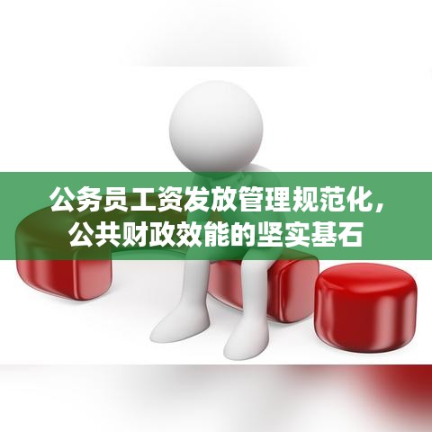 公務員工資發放管理規范化,公共財政效能的堅實基石