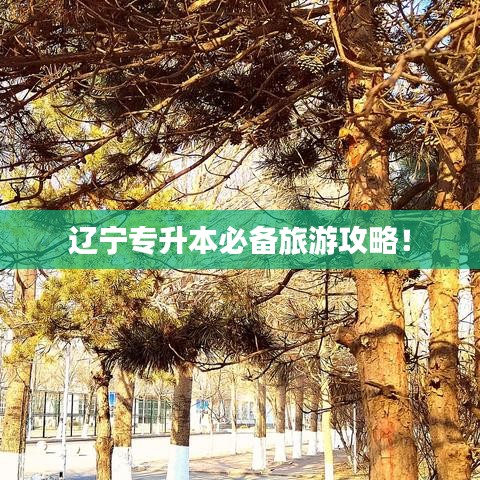 一本正經 第2頁