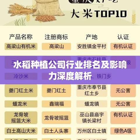 水稻種植公司行業(yè)排名及影響力深度解析