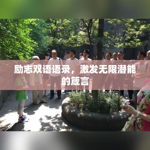 勵(lì)志雙語語錄,激發(fā)無限潛能的箴言