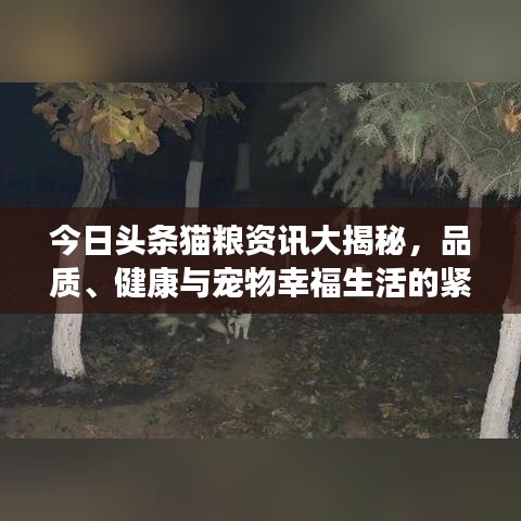今日頭條貓糧資訊大揭秘,品質、健康與寵物幸福生活的緊密關聯