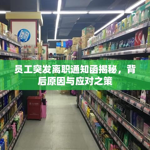 員工突發(fā)離職通知函揭秘,背后原因與應對之策