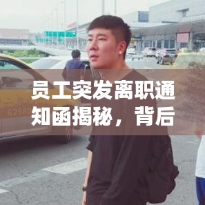 員工突發(fā)離職通知函揭秘,背后原因與應對之策