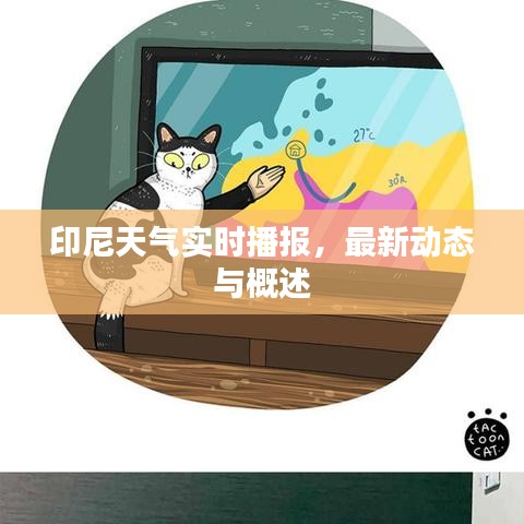 印尼天氣實時播報,最新動態與概述