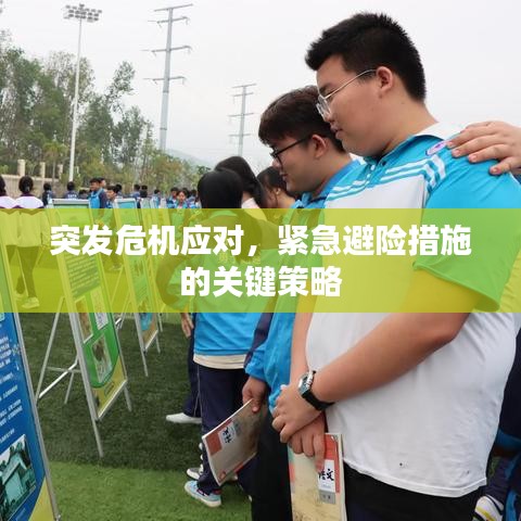 突發(fā)危機(jī)應(yīng)對(duì),緊急避險(xiǎn)措施的關(guān)鍵策略