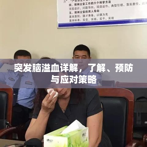 突發(fā)腦溢血詳解,了解、預(yù)防與應(yīng)對策略