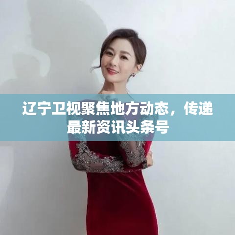 遼寧衛(wèi)視聚焦地方動(dòng)態(tài),傳遞最新資訊頭條號