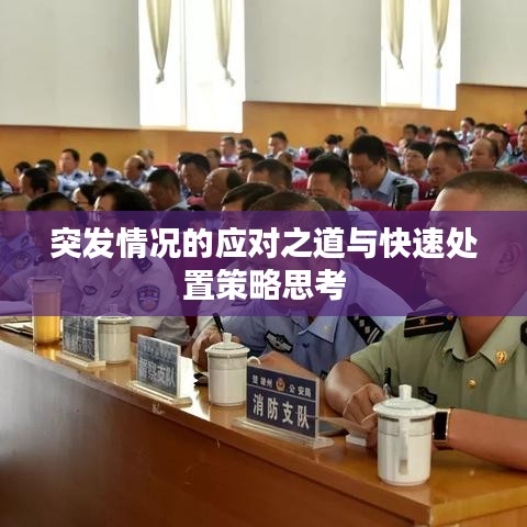 突發情況的應對之道與快速處置策略思考