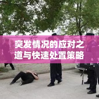 突發情況的應對之道與快速處置策略思考