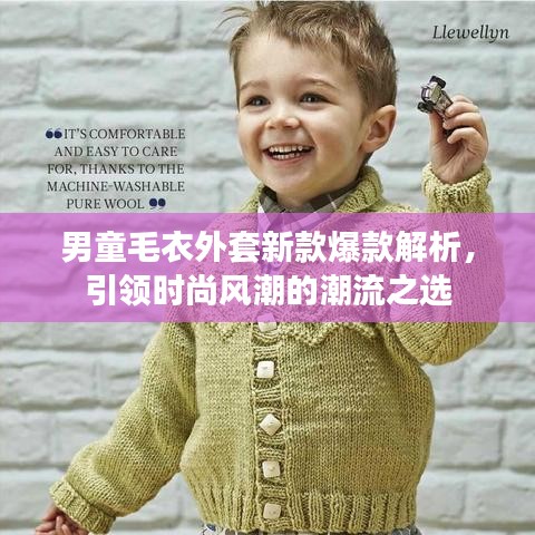 男童毛衣外套新款爆款解析,引領(lǐng)時尚風(fēng)潮的潮流之選