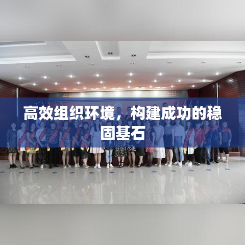 高效組織環(huán)境,構(gòu)建成功的穩(wěn)固基石