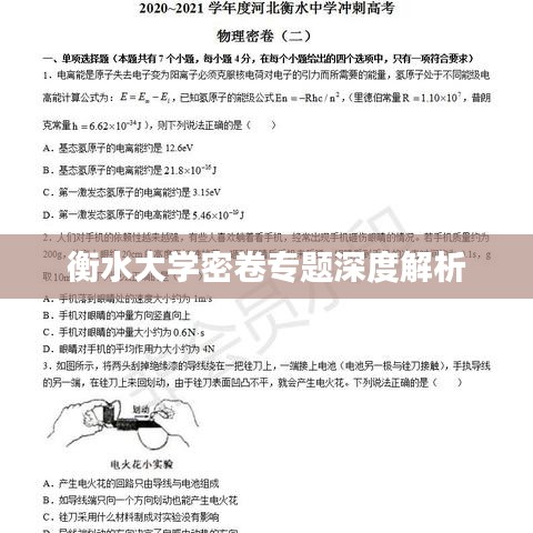 衡水大學密卷專題深度解析